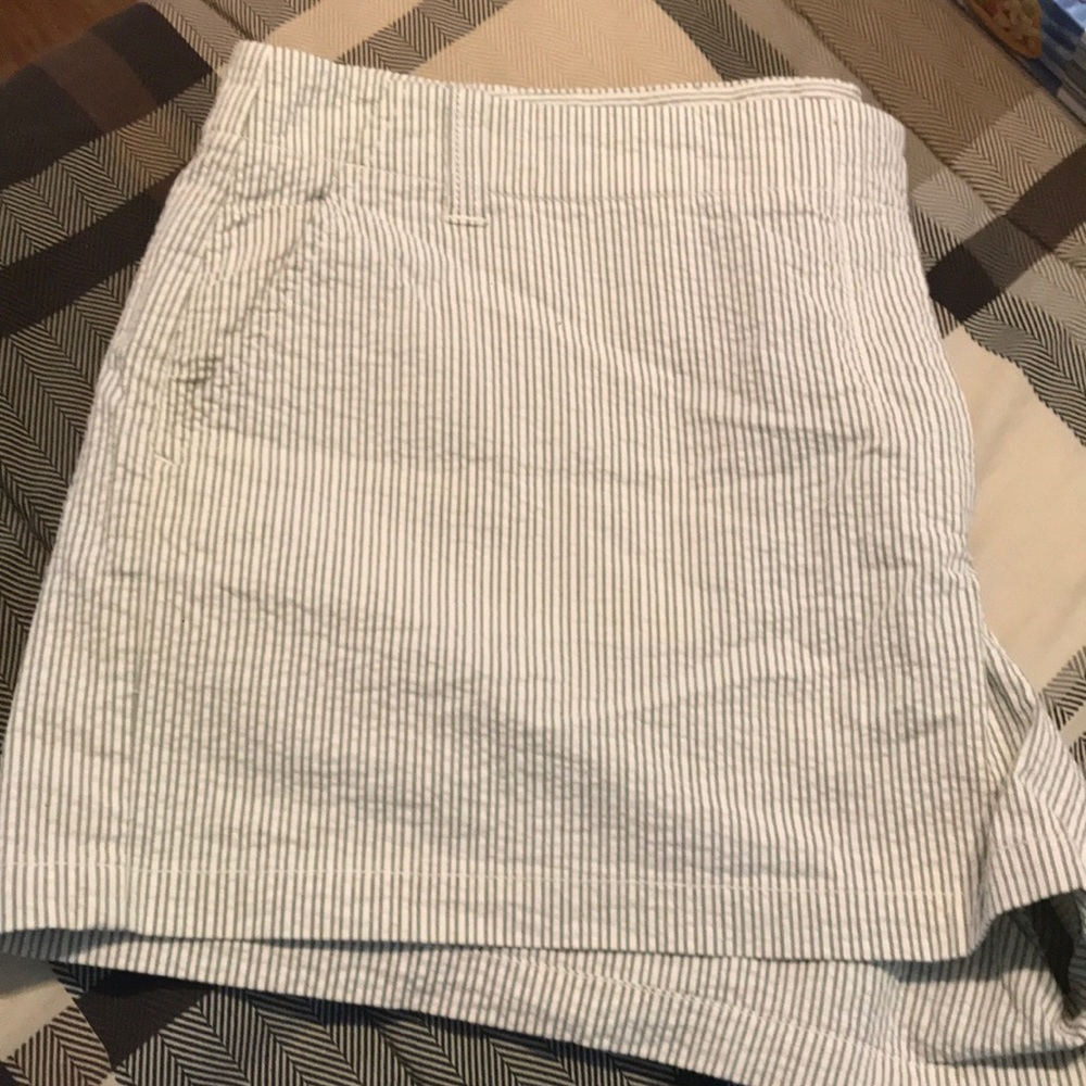 Adorable ladies shorts!
